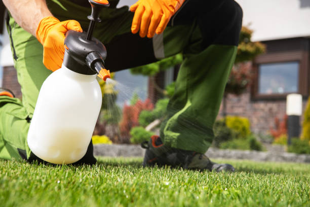 Best Spider Control Near Me  in Albany, CA