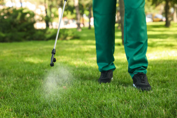 Best Wasp Removal Services  in Albany, CA