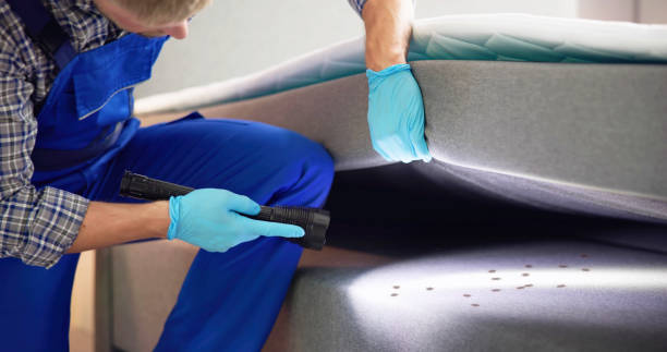 Best Insect Control  in Albany, CA