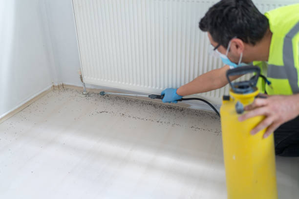 Best Commercial Pest Control Services  in Albany, CA